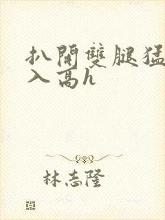 扒开双腿猛烈进入高h封面