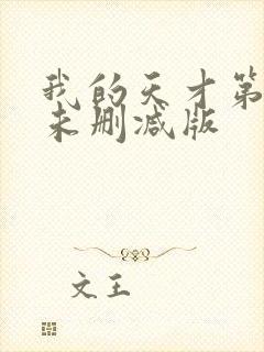 我的天才第三季未删减版封面