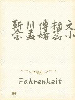 靳川傅柏文沈念念孟娇蕊小说封面