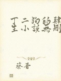 丁二狗的肆意人生小说无删减全文阅读