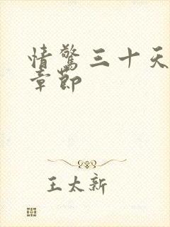 情惊三十天最新章节