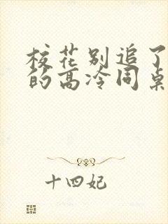 校花别追了 我的高冷同桌txt下载封面