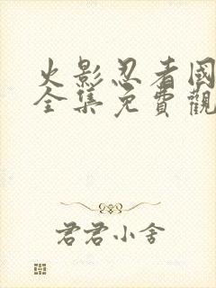 火影忍者国语版全集免费观看封面