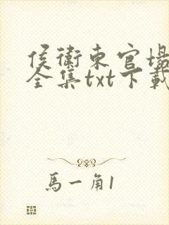 侯卫东官场笔记全集txt下载