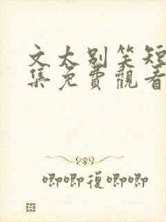 文太别笑短剧全集免费观看完整版
