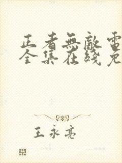 正者无敌电视剧全集在线免费观看