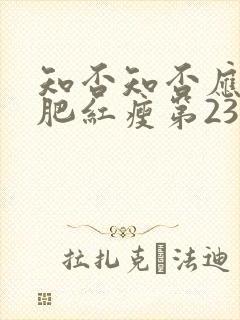 知否知否应是绿肥红瘦第23集封面