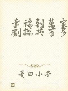 幸福到万家电视剧总共有多少集