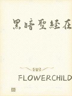 黑暗圣经在线看