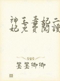 神王毒妃二嫁王妃免费阅读全文
