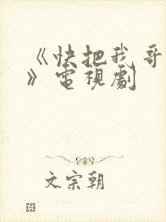 《快把我哥带走》电视剧封面