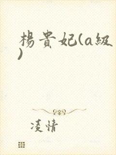 杨贵妃(a级片)封面