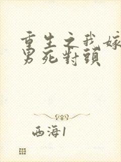 重生之我嫁给渣男死对头