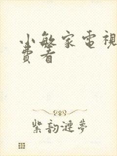 小敏家电视剧免费看