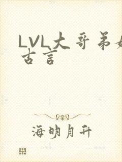 LVL大哥弟媳古言