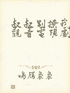 叔叔别撩我免费观看电视剧2004封面