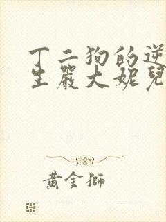 丁二狗的逆袭人生严大妮儿大结局封面