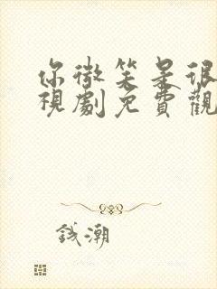 你微笑是很美电视剧免费观看全集封面