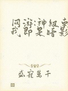 网游:神级刺客我即是暗影