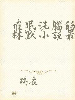 催眠洗脑的姐姐林默小说最新章节更