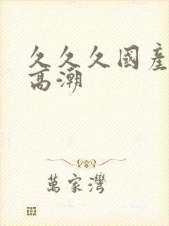 久久久国产精品高潮