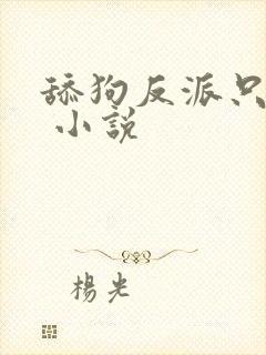 舔狗反派只想苟 小说