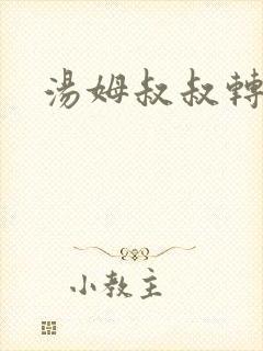 汤姆叔叔转接口