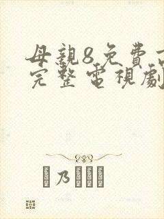 母亲8免费高清完整电视剧