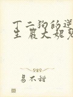 丁二狗的逆袭人生 严大妮儿封面