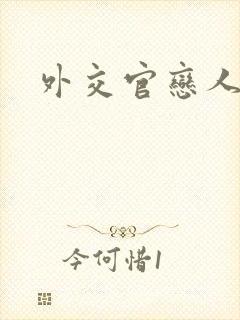 外交官恋人小说封面