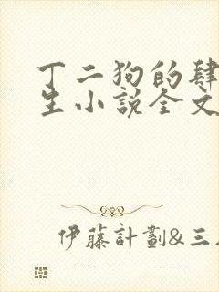 丁二狗的肆意人生小说全文
