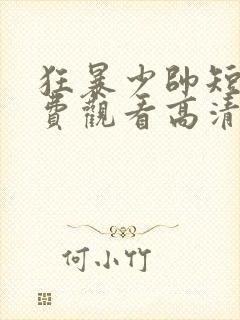 狂暴少帅短剧免费观看高清封面