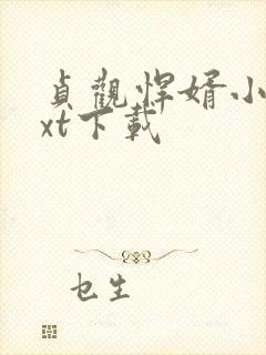 贞观悍婿小说txt下载