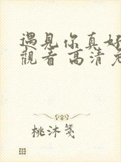 遇见你真好在线观看 高清免费观看