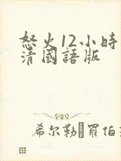 怒火12小时高清国语版