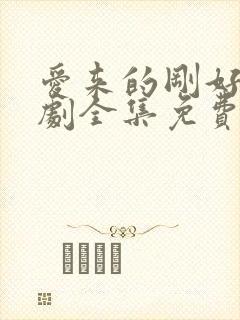 爱来的刚好电视剧全集免费观看完整版