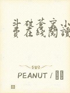 斗破苍穹小说免费在线阅读完整版封面