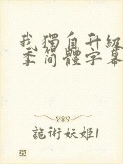 我独自升级第二季简体字幕在线观看封面