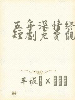 五年深情终成空短剧免费观看封面