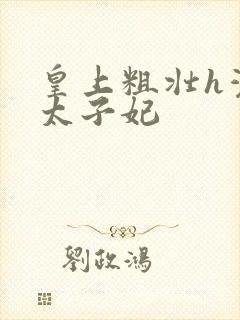 皇上粗壮h灌满太子妃封面