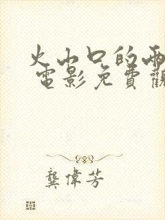 火山口的两个人 电影免费观看封面