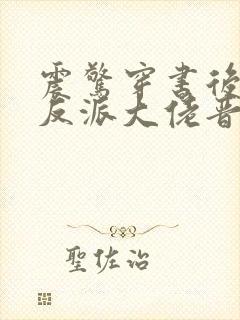 震惊穿书后娶了反派大佬晋江封面