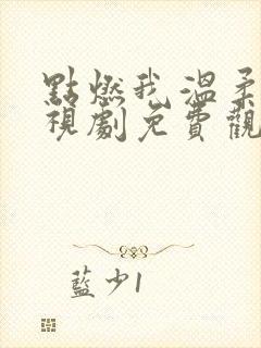 点燃我温柔你电视剧免费观看高清