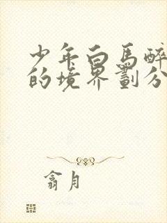 少年白马醉春风的境界划分封面