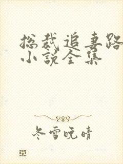 总裁追妻路漫漫小说全集封面