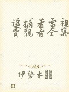 追捕者电视剧免费观看全集完整版