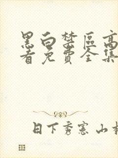 黑白禁区高清观看免费全集封面