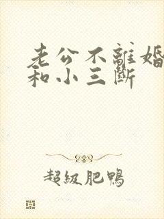 老公不离婚也不和小三断