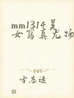 mm1314美女写真尤物
