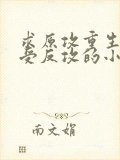 求原攻重生被原受反攻的小说封面